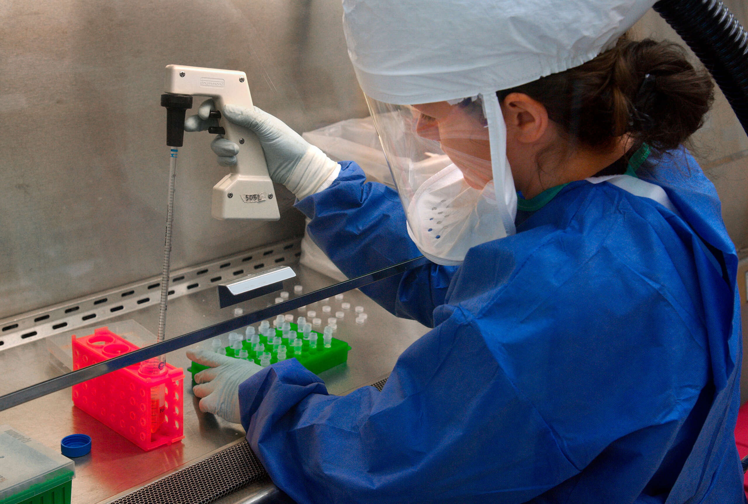 Plague News: Bird Flu and Massachusetts Right to Mask Bills - 2.23.25