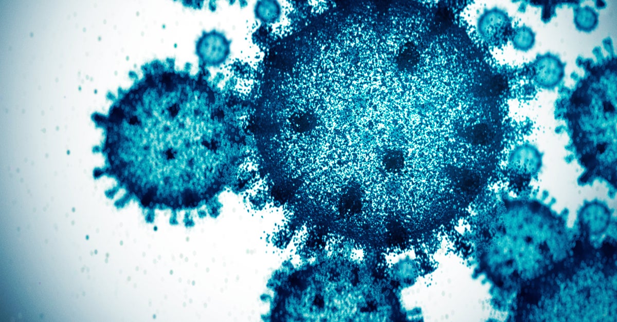 Plague News: Vaccine News - 6.2.25