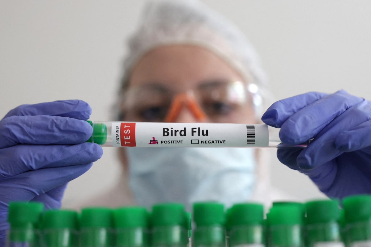 Plague News: Bird Flu and Massachusetts Right to Mask Bills - 2.23.25
