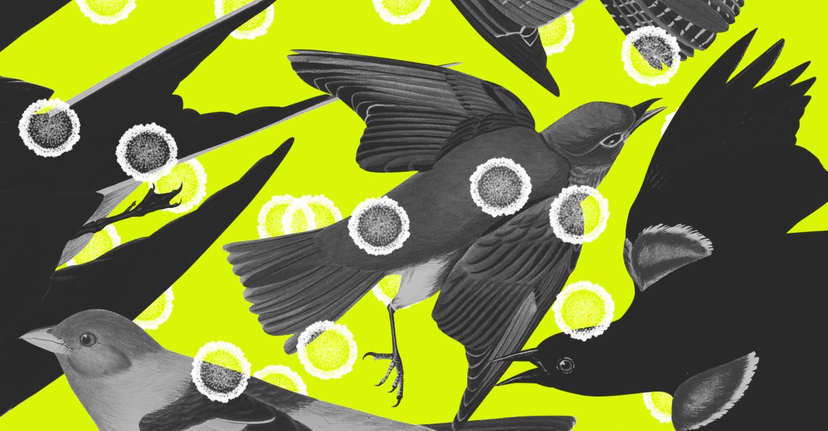Plague News: Bird Flu, COVID, Measles - 4.15.25