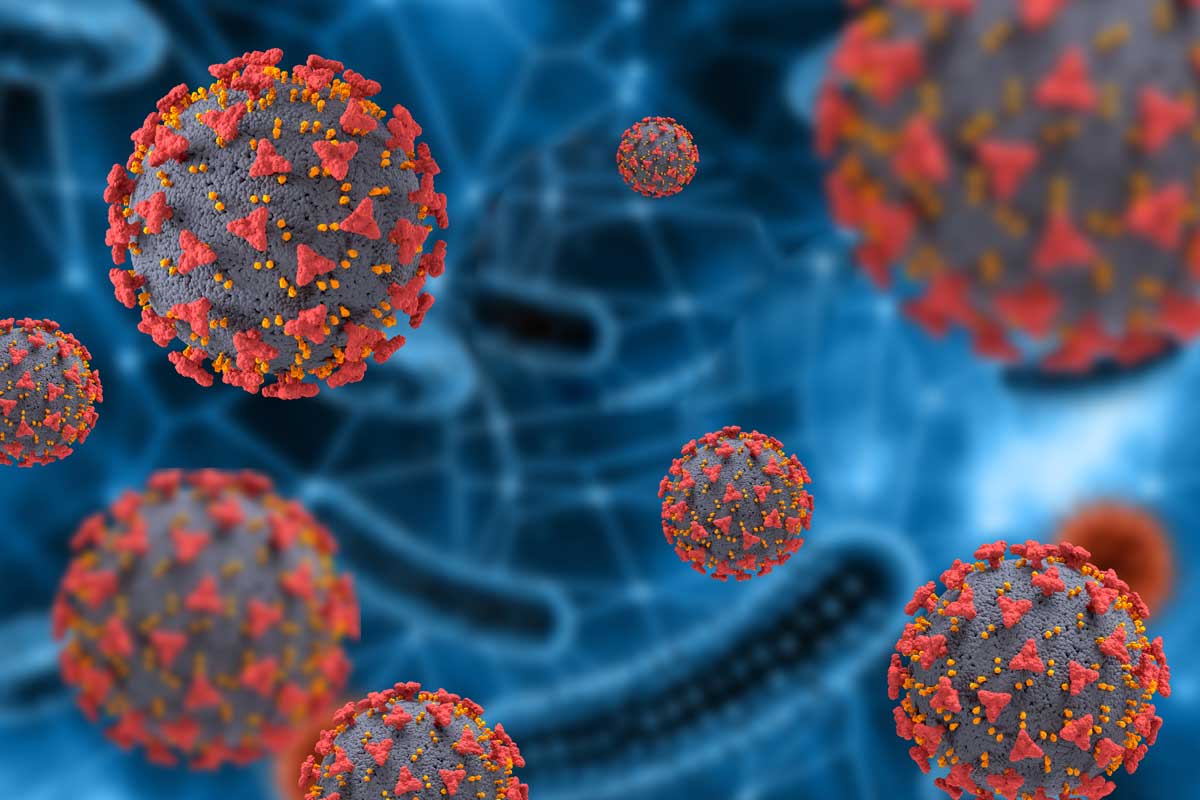 Plague News: Measles Deaths, Bird Flu Updates, COVID Still Here - 3.9.25