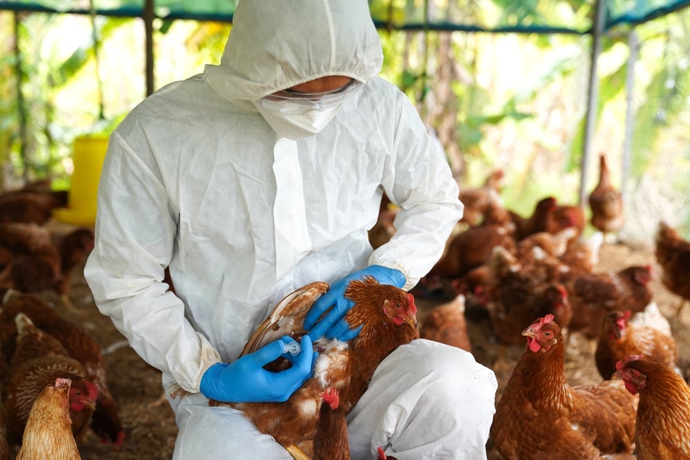 Plague News: Vaccine News - 6.2.25